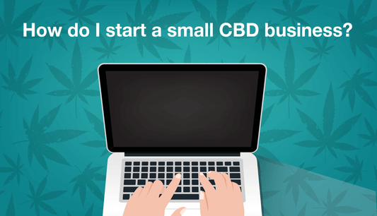How To Start A CBD Business